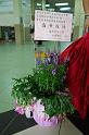 DSCF 005